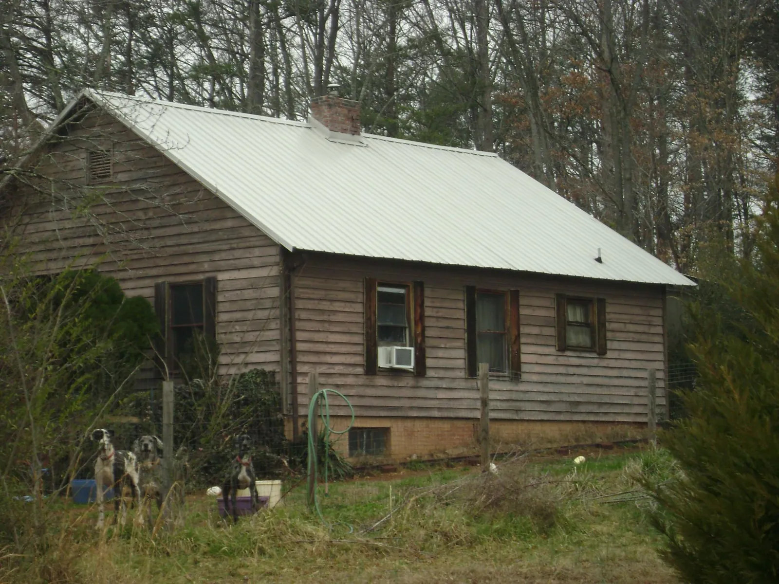 White metal roof on an old wood sided farmhouse, from a Asphalt Shingle Roof Repair job in Penryn